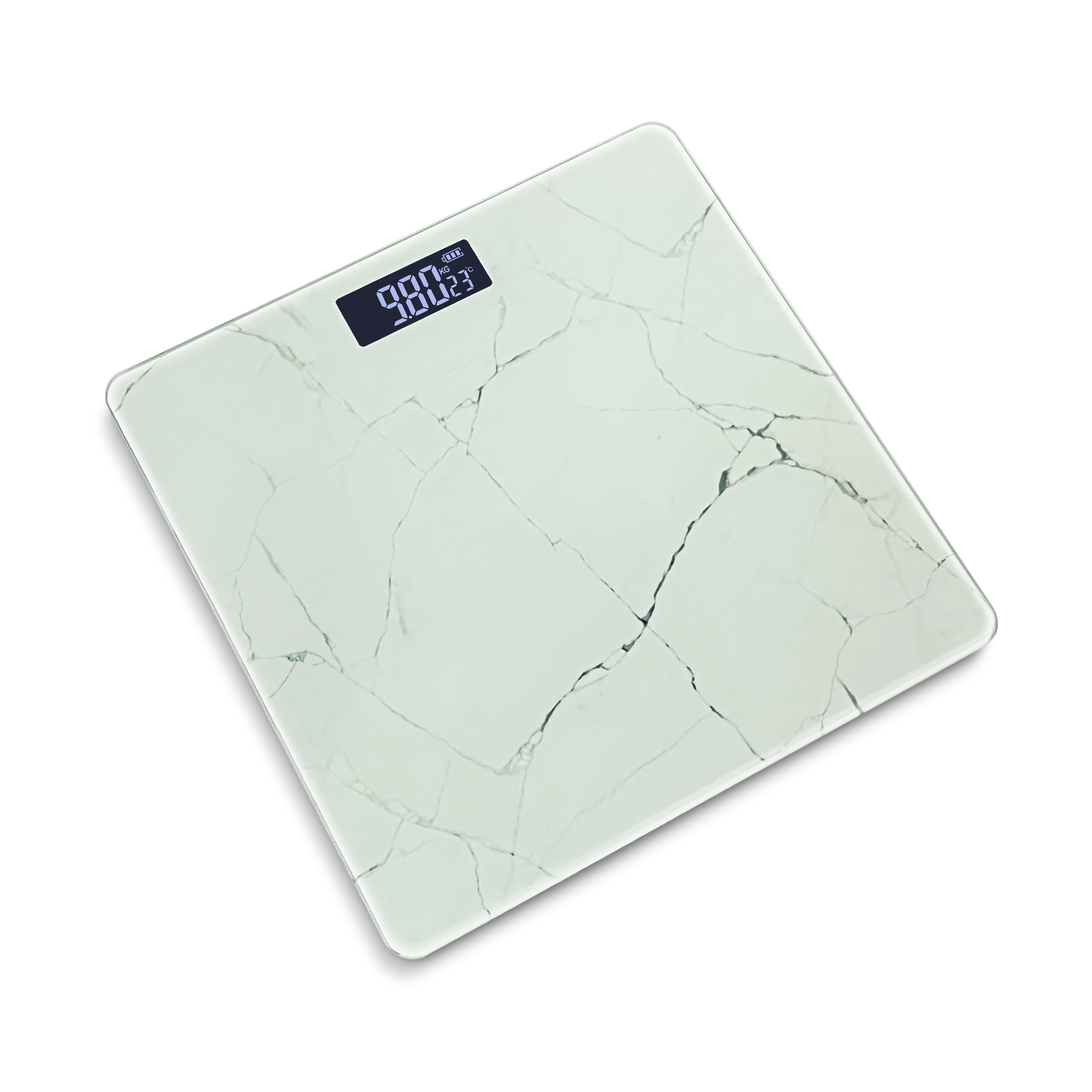 YQ-B12 Digital Bathroom Scale